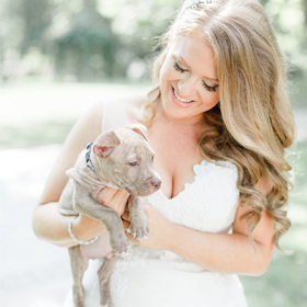 Bride with Puppies